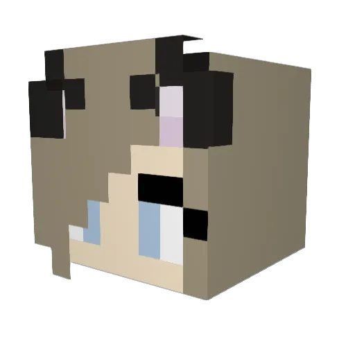 Cashoes Minecraft avatar head, 3D render