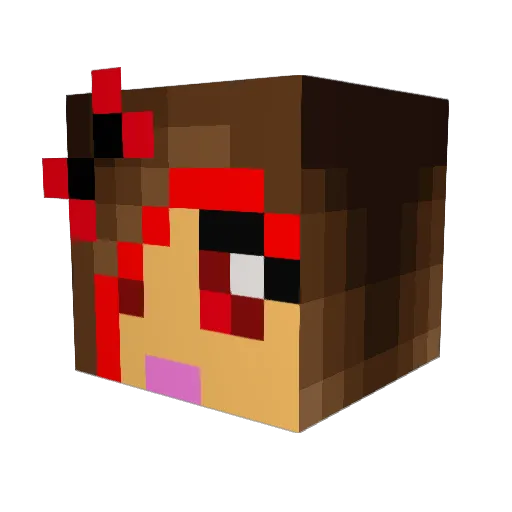 Cashroom22 Minecraft avatar head, 3D render