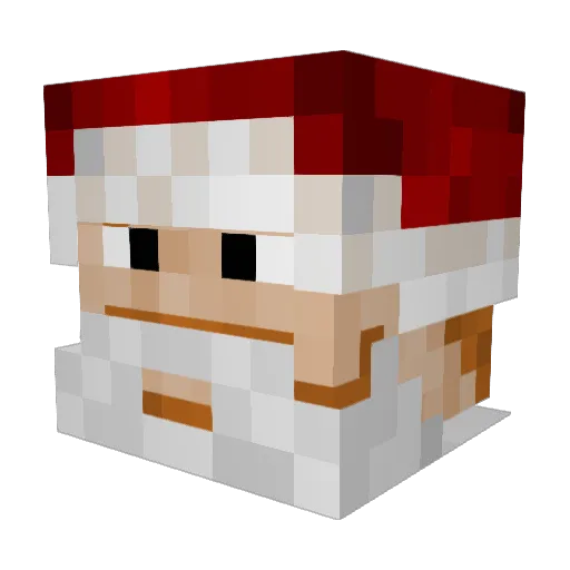 Cashus67 Minecraft avatar head, 3D render