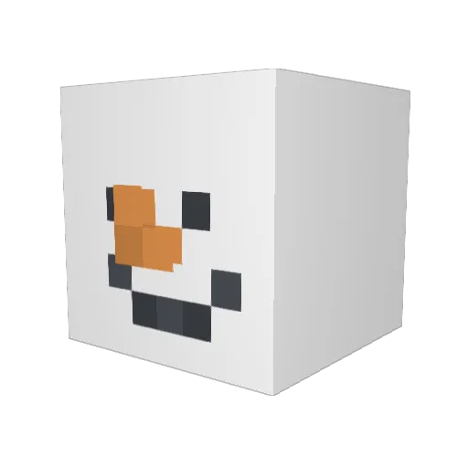Cashzz Minecraft avatar head, 3D render