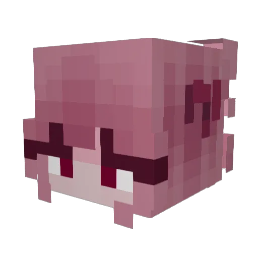 Casidor Minecraft avatar head, 3D render