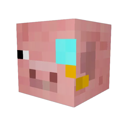 Casjuh Minecraft avatar head, 3D render
