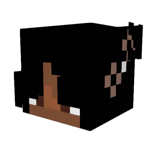 CasketCrusha Minecraft avatar head, 3D render