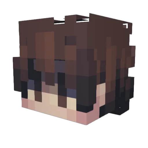 Casoule Minecraft avatar head, 3D render