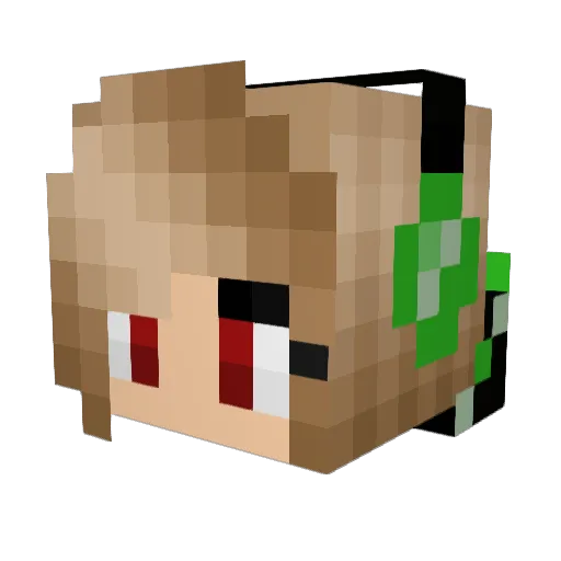 Caspar110 Minecraft avatar head, 3D render