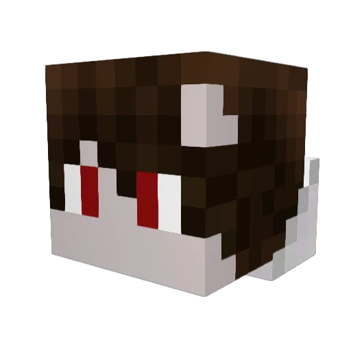 Casper219 Minecraft avatar head, 3D render