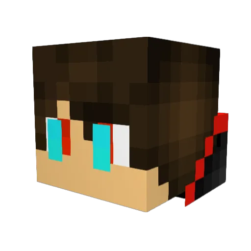CasperDenHaag Minecraft avatar head, 3D render