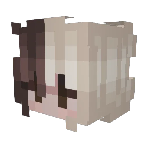 CasperDisaster Minecraft avatar head, 3D render