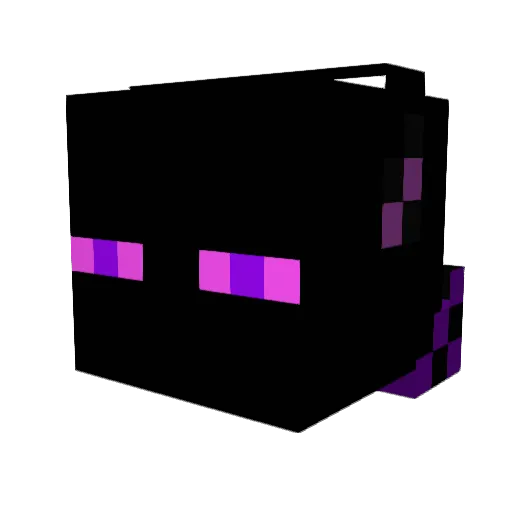 CasperStor Minecraft avatar head, 3D render