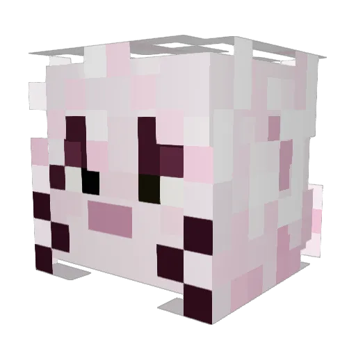 Caspersoupcan Minecraft avatar head, 3D render
