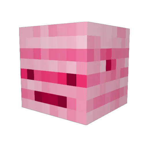 CaspieChai Minecraft avatar head, 3D render