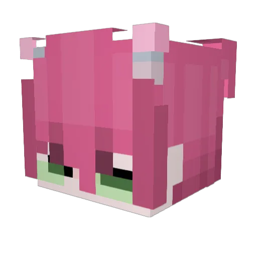 Caspynana Minecraft avatar head, 3D render