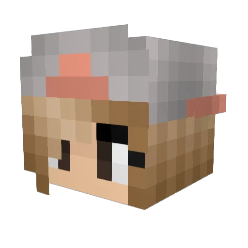 Cass1DNialler Minecraft avatar head, 3D render