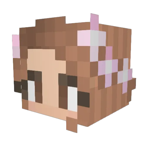 Cass4231 Minecraft avatar head, 3D render