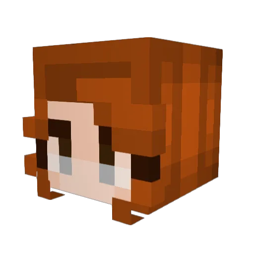Cass4705 Minecraft avatar head, 3D render