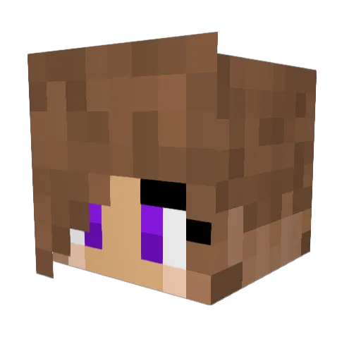 Cass508 Minecraft avatar head, 3D render