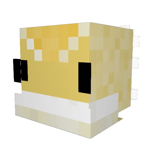 CassNova20 Minecraft avatar head, 3D render
