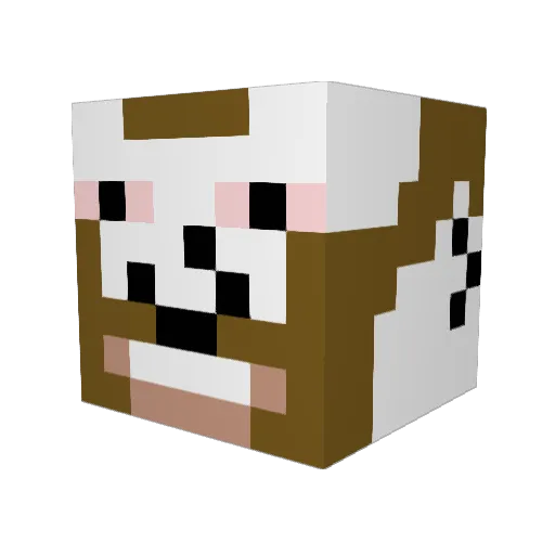 CassPheonix Minecraft avatar head, 3D render