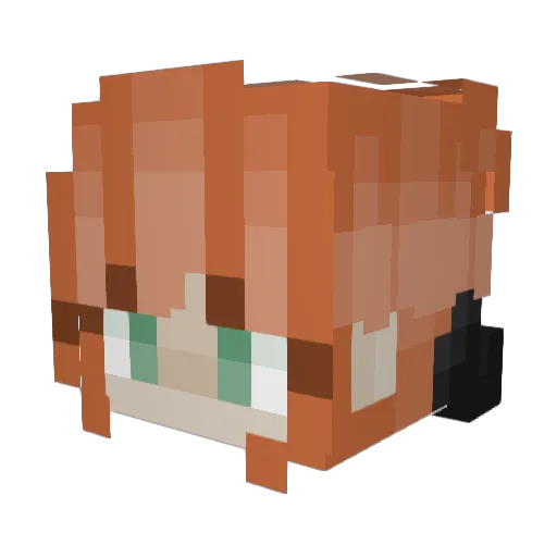Cass_h0le Minecraft avatar head, 3D render