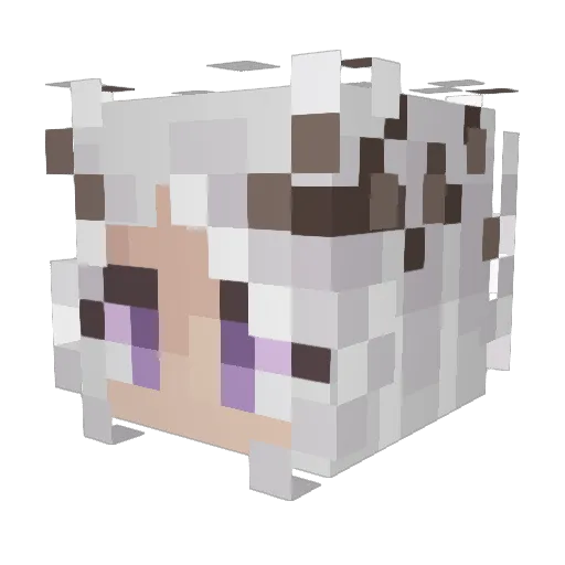 CassadraChan Minecraft avatar head, 3D render