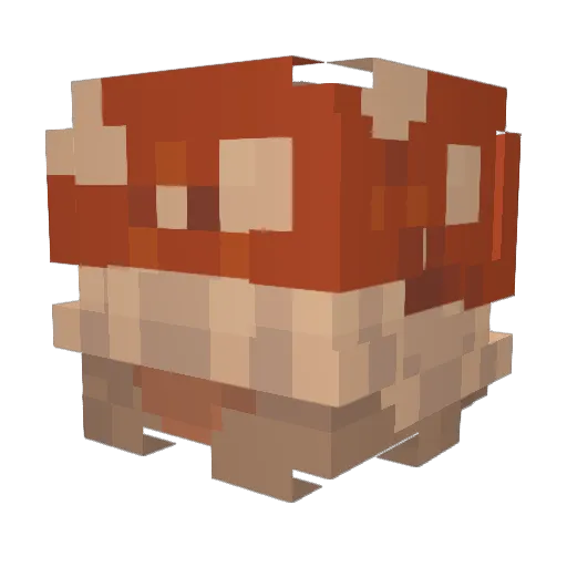 Cassarus Minecraft avatar head, 3D render