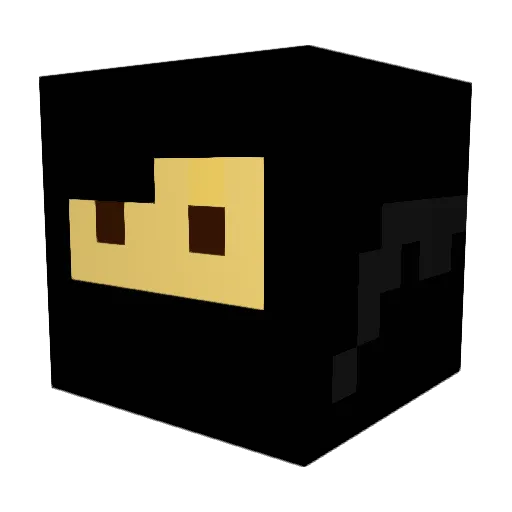 CassetteVHS666 Minecraft avatar head, 3D render