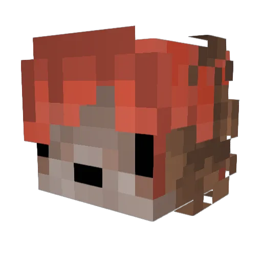 Cassette__ Minecraft avatar head, 3D render