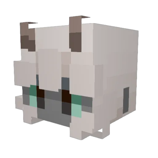 CassettedHope Minecraft avatar head, 3D render
