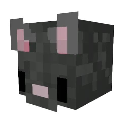 CassiGamingYT Minecraft avatar head, 3D render