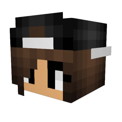 Cassidy1122 Minecraft avatar head, 3D render