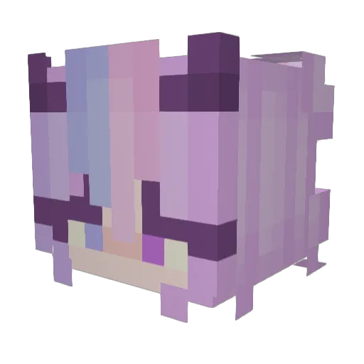 Cassidy4181 Minecraft avatar head, 3D render
