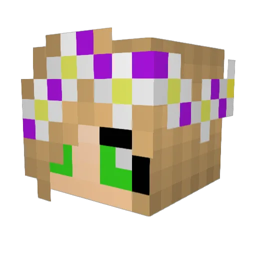 CassidyR Minecraft avatar head, 3D render
