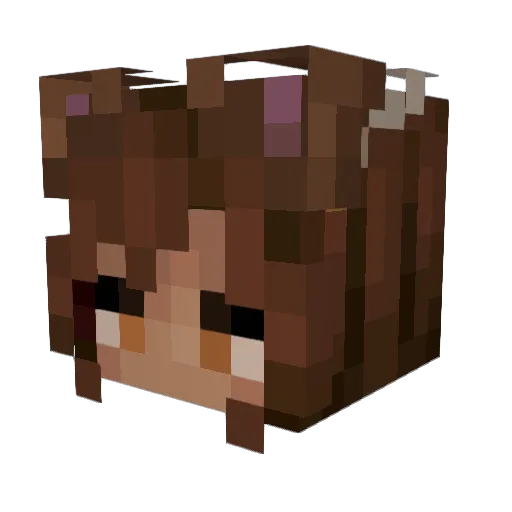 Cassidy_Cassi Minecraft avatar head, 3D render