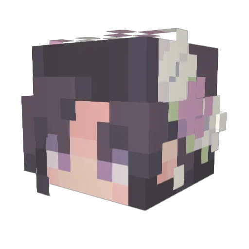 Cassidy__ Minecraft avatar head, 3D render