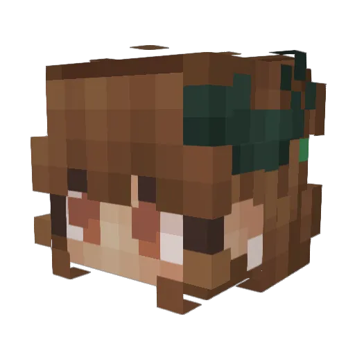 Cassidythegirl Minecraft avatar head, 3D render