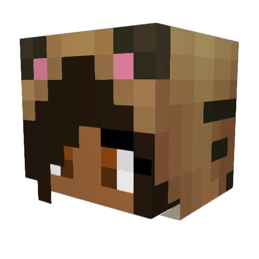 Cassieanne Minecraft avatar head, 3D render