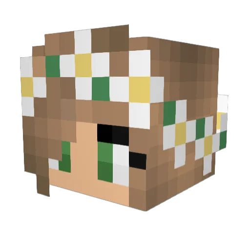 Cassierr Minecraft avatar head, 3D render