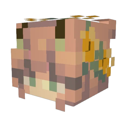 CassiesCozy Minecraft avatar head, 3D render