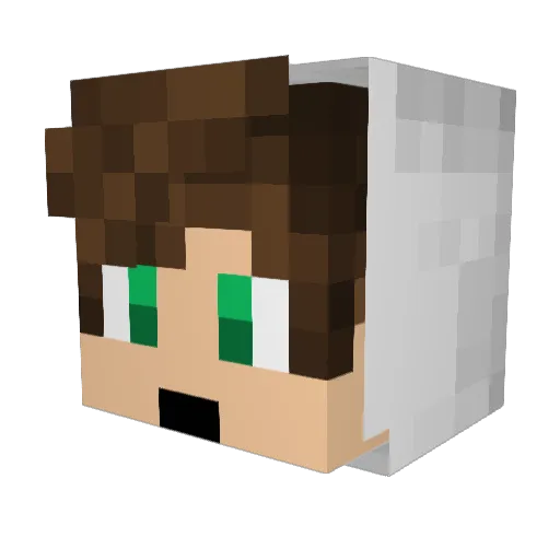 CassioLince Minecraft avatar head, 3D render