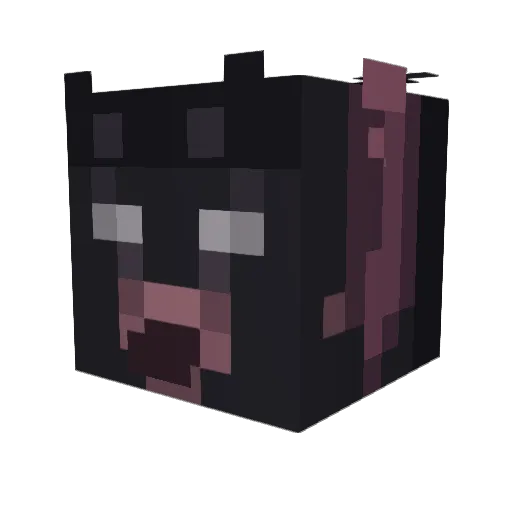Cassiome Minecraft avatar head, 3D render