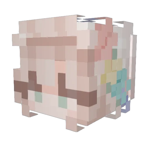 Cassisagamer Minecraft avatar head, 3D render