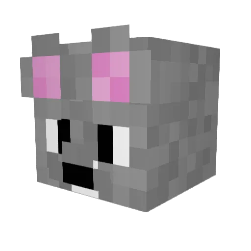 Cassius121 Minecraft avatar head, 3D render