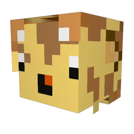 Casskiller1 Minecraft avatar head, 3D render