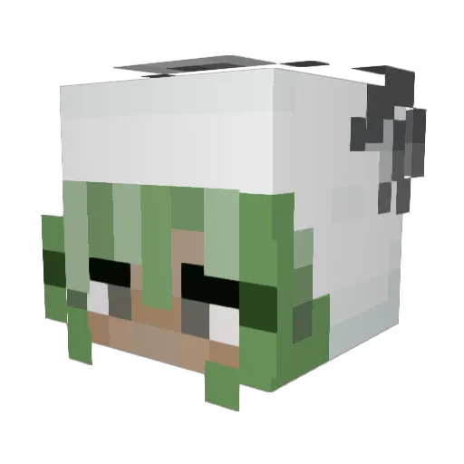 Casssiexz Minecraft avatar head, 3D render