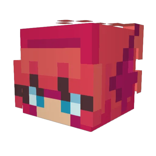 Casssserole Minecraft avatar head, 3D render