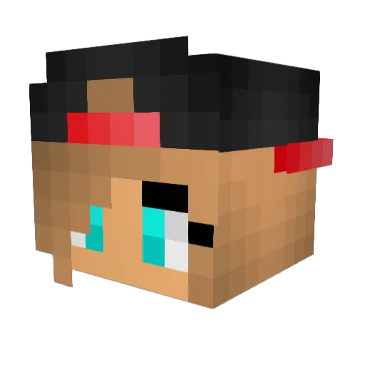 Cassy2008 Minecraft avatar head, 3D render