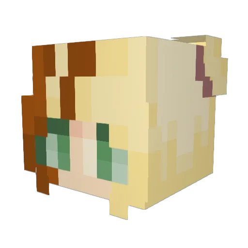 Cassyia Minecraft avatar head, 3D render