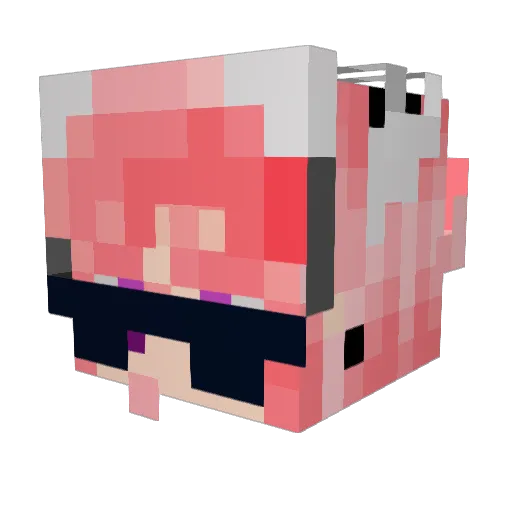 CastKid123 Minecraft avatar head, 3D render