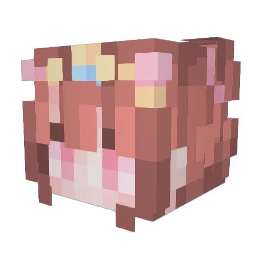 Casteady Minecraft avatar head, 3D render