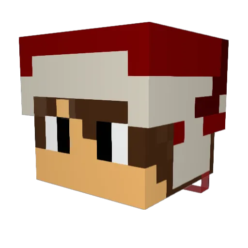 CastekingPlay Minecraft avatar head, 3D render